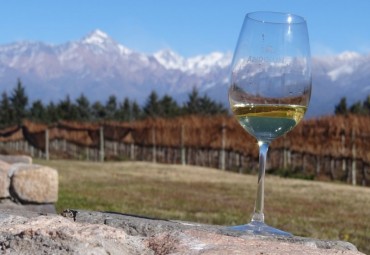 chile vinho branco