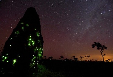 descanso em goias parque nacional das emas